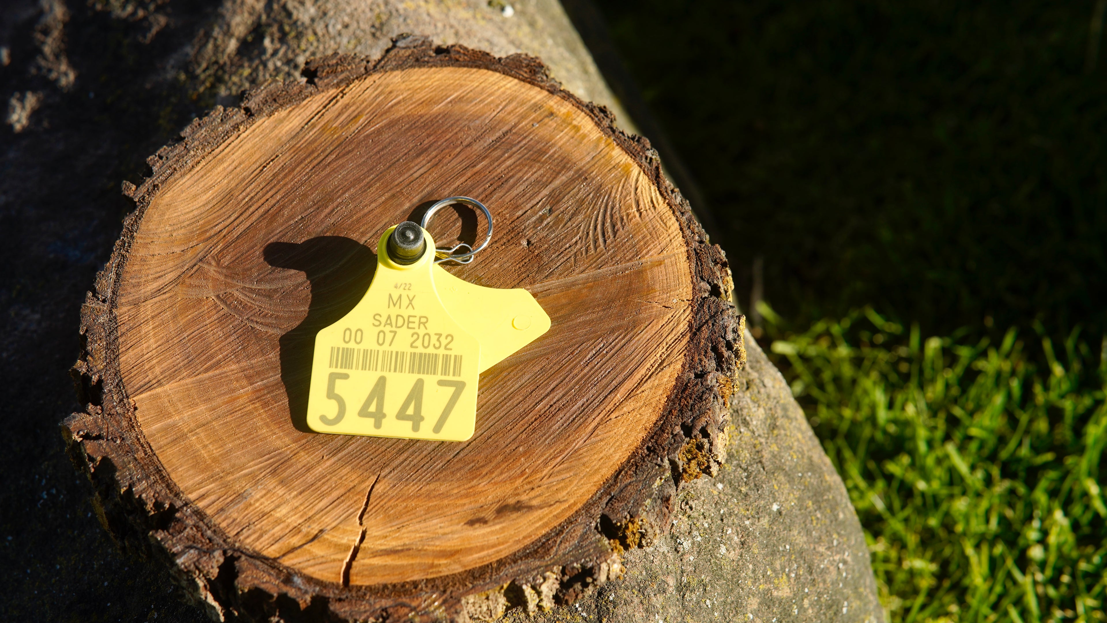 Western Cow Tag Keychain