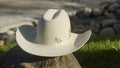 LDO HAT PIN